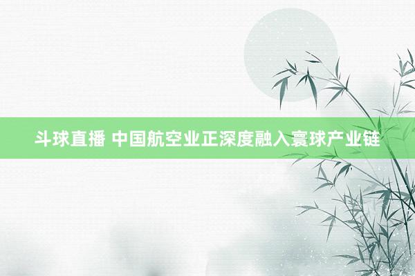 斗球直播 中国航空业正深度融入寰球产业链