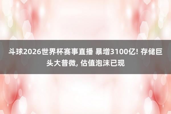 斗球2026世界杯赛事直播 暴增3100亿! 存储巨头大普微, 估值泡沫已现