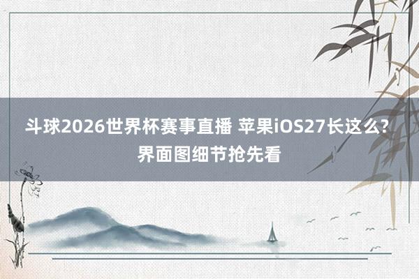 斗球2026世界杯赛事直播 苹果iOS27长这么? 界面图细节抢先看