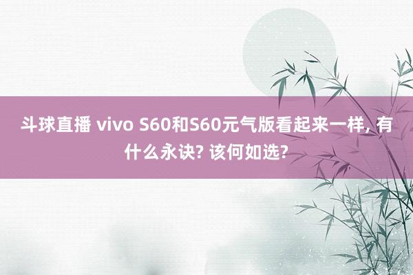 斗球直播 vivo S60和S60元气版看起来一样, 有什么永诀? 该何如选?