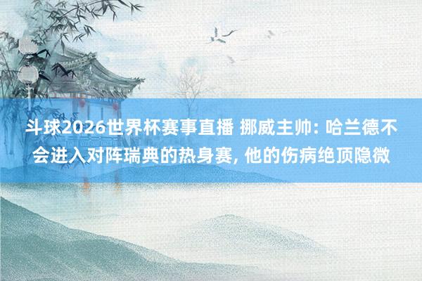斗球2026世界杯赛事直播 挪威主帅: 哈兰德不会进入对阵瑞典的热身赛, 他的伤病绝顶隐微