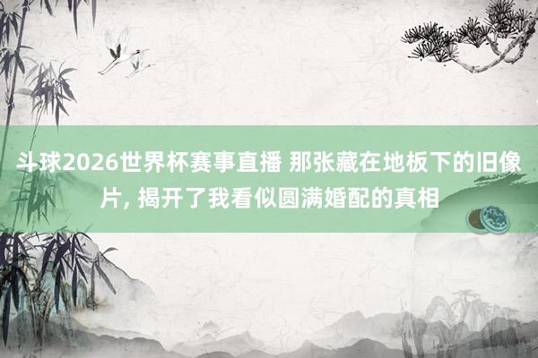 斗球2026世界杯赛事直播 那张藏在地板下的旧像片, 揭开了我看似圆满婚配的真相