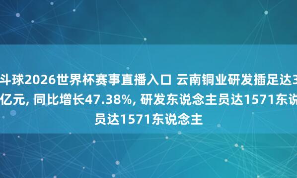 斗球2026世界杯赛事直播入口 云南铜业研发插足达39.89亿元, 同比增长47.38%, 研发东说念主员达1571东说念主