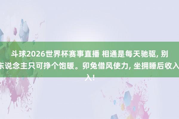 斗球2026世界杯赛事直播 相通是每天驰驱, 别东说念主只可挣个饱暖。卯兔借风使力, 坐拥睡后收入!