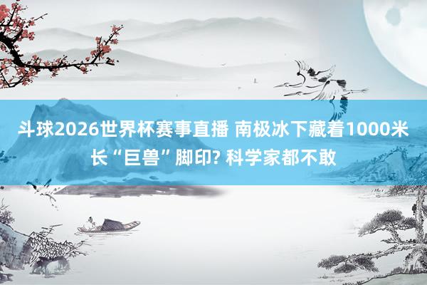 斗球2026世界杯赛事直播 南极冰下藏着1000米长“巨兽”脚印? 科学家都不敢