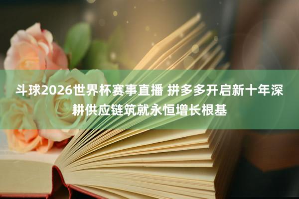 斗球2026世界杯赛事直播 拼多多开启新十年深耕供应链筑就永恒增长根基