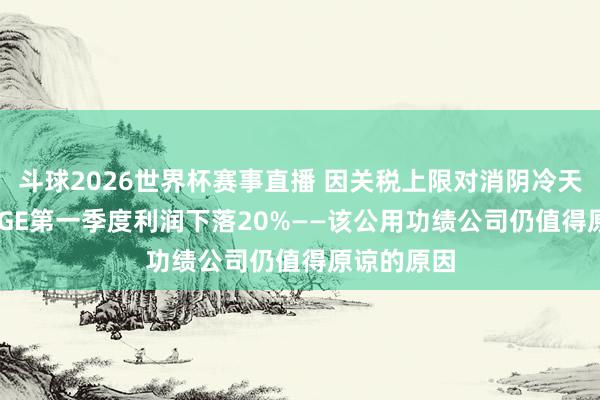 斗球2026世界杯赛事直播 因关税上限对消阴冷天气收益, PGE第一季度利润下落20%——该公用功绩公司仍值得原谅的原因