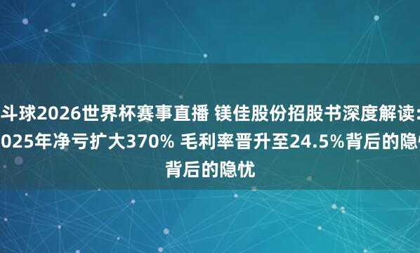 斗球2026世界杯赛事直播 镁佳股份招股书深度解读: 2025年净亏扩大370% 毛利率晋升至24.5%背后的隐忧