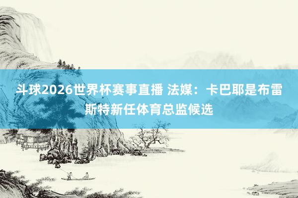 斗球2026世界杯赛事直播 法媒：卡巴耶是布雷斯特新任体育总监候选