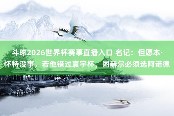 斗球2026世界杯赛事直播入口 名记：但愿本·怀特没事，若他错过寰宇杯，图赫尔必须选阿诺德