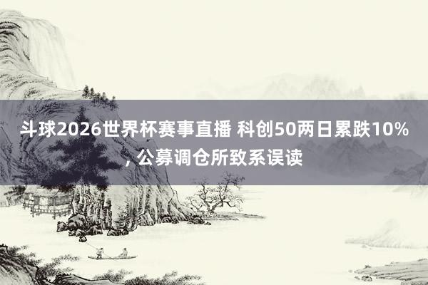 斗球2026世界杯赛事直播 科创50两日累跌10%, 公募调仓所致系误读
