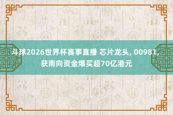 斗球2026世界杯赛事直播 芯片龙头, 00981, 获南向资金爆买超70亿港元