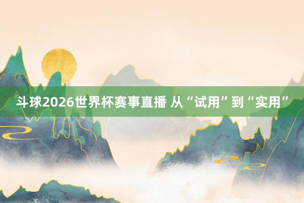 斗球2026世界杯赛事直播 从“试用”到“实用”