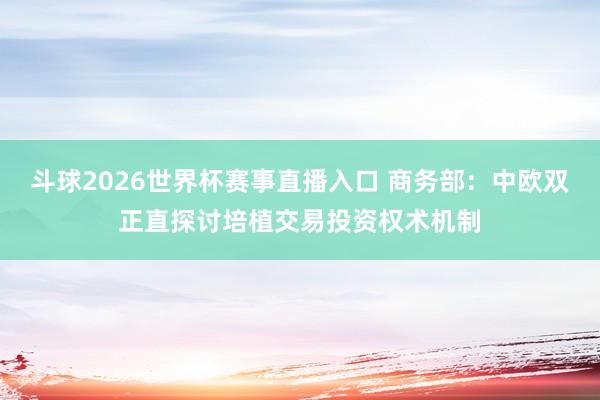 斗球2026世界杯赛事直播入口 商务部：中欧双正直探讨培植交易投资权术机制