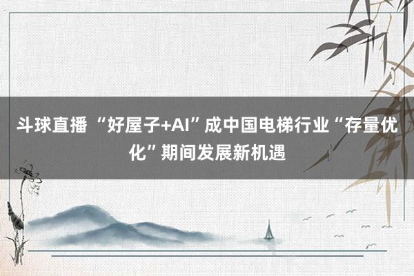 斗球直播 “好屋子+AI”成中国电梯行业“存量优化”期间发展新机遇