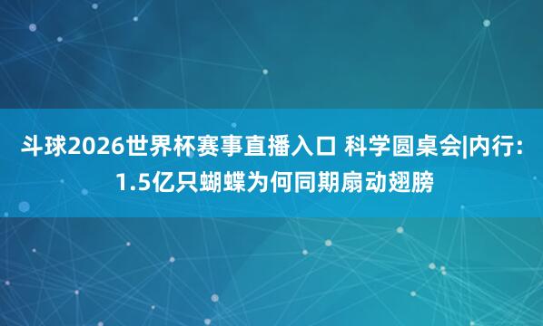斗球2026世界杯赛事直播入口 科学圆桌会|内行: 1.5亿只蝴蝶为何同期扇动翅膀