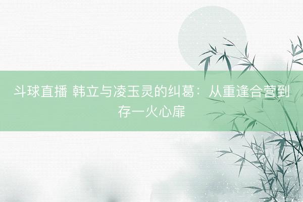 斗球直播 韩立与凌玉灵的纠葛：从重逢合营到存一火心扉