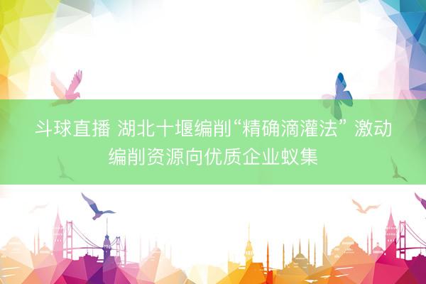 斗球直播 湖北十堰编削“精确滴灌法” 激动编削资源向优质企业蚁集