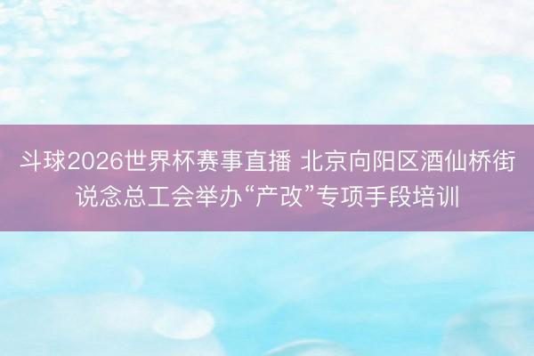 斗球2026世界杯赛事直播 北京向阳区酒仙桥街说念总工会举办“产改”专项手段培训