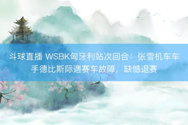 斗球直播 WSBK匈牙利站次回合：张雪机车车手德比斯际遇赛车故障，缺憾退赛