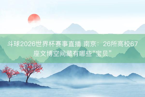 斗球2026世界杯赛事直播 南京：26所高校67座文博空间藏有哪些“宝贝”
