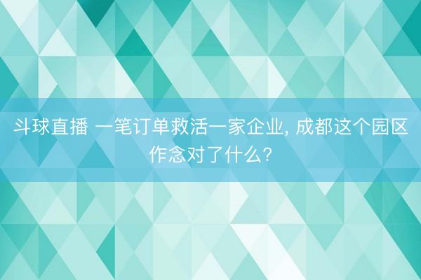斗球直播 一笔订单救活一家企业， 成都这个园区作念对了什么?