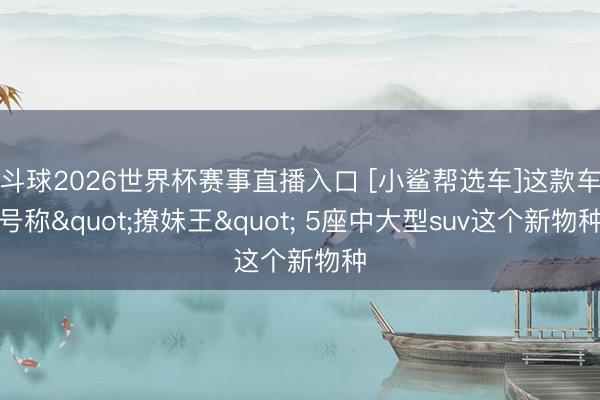 斗球2026世界杯赛事直播入口 [小鲨帮选车]这款车号称"撩妹王" 5座中大型suv这个新物种