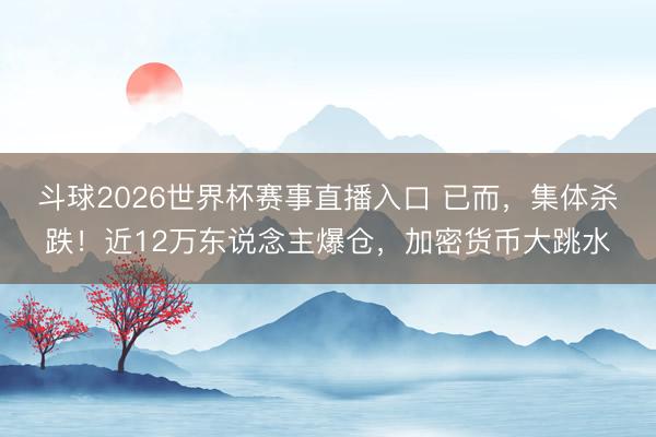 斗球2026世界杯赛事直播入口 已而,集体杀跌!近12万东说念主爆仓,加密货币大跳水